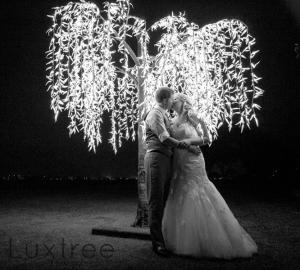 Quality Luxury Christmas Decorations Led Willow Tree Light Christmas Tree wholesale