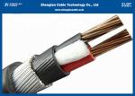 0.6/1KV Two Cores unarmoured XLPE Insulated Power Cables（CU/XLPE/LSZH/DSTA