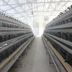 Quality Manufacturers Battery Egg Layer Chicken Farm Poultry Laying Hens Cages wholesale