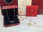 Car Tie 18k Gold PanthèRe De Car Tier Necklace Rose Gold Tsavorite Garnets VVS