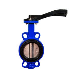 China ANSI B16.5 Ductile Iron Butterfly Valve API 609 Standard on sale