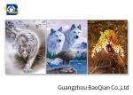 Stunning Animal Lenticular Flip / Amazing Naked 3D Lenticular Photography