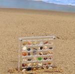 High Transparent DIY Magnetic Seashell Collection Clear Acrylic Display Case For