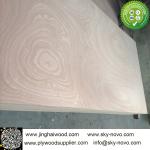 rotary sapele veneer furniture plywood