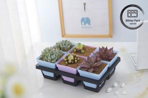 Quality Multi Size Plastic Seedling Trays 6, 12, 20, 24, 40 Cells Durable for Gardening wholesale
