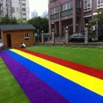 Colorful Fake Plastic Grass Carpet Running Tracking For Kingdergarden Kids
