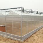 Hydroponic System for Aquaponics in Multi-Span Agricultural Greenhouse