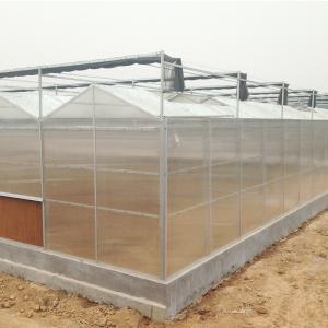 Quality Hydroponic System for Aquaponics in Multi-Span Agricultural Greenhouse wholesale