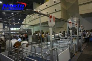 Quality Automatic Pig feeding system wholesale
