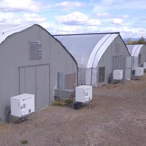 Quality Single Span Tunnel Auto Light Dep Greenhouse Blackout For Plants Cultivation wholesale