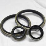 High Temperature Resistance Black Hydraulic Metal Dkb Oil Seals in Black Colour