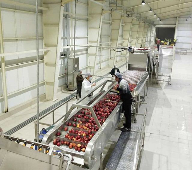 Automatic Complete Small Scale Mini Mango Orange Juicer Fruit Juice factory orange production line