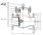 ASME B16.34 Hastelloy Alloy Swing Check Valve CW12MW No Return Valve 150LB 4