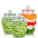Wide Mouth Airtight Fermenting Glass Food Canister