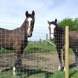 Quality ISO9001 Galvanized Cattle Farming Wire Mesh Fence 200m/Roll wholesale