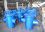 Small Equipment PN16 DN600 Blue Carbon Steel T Type Filter