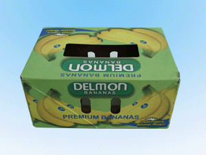 Recycled high quality cheap full color printing carton fruit box