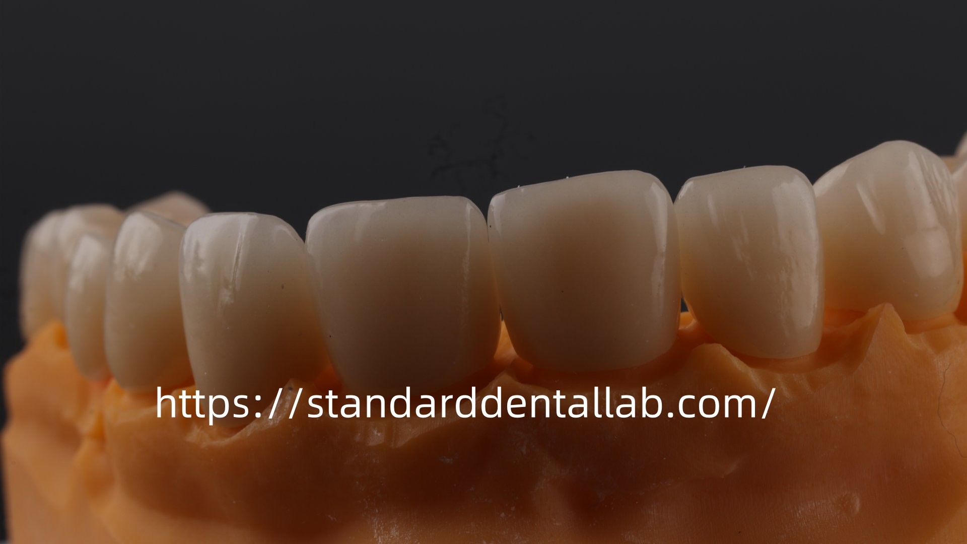 Layered Dental Zirconia Crown And Bridge Translucency 3D PRO Zirconia Porcelain Crown Standard Dental Lab