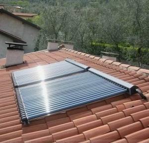 Quality Pressurized Solar Vacuum Tube Collector with Customized Request and Heat Pipe wholesale