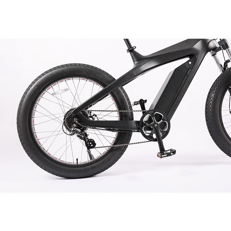 Kontax 26inch Fat Tire E Bike with Lithium Battery Power Supply and 48V 750W Motor