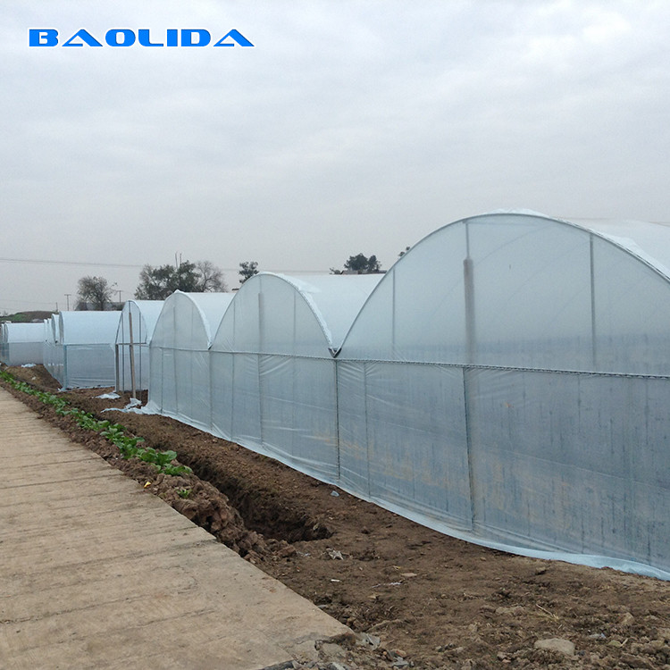 150 Micron PE Film Agricultural Greenhouse For Vegetable Fruit Growing