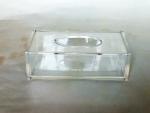 Organic glass tissue box（19）