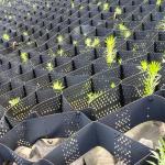 356mm Driveway Road Railway Soil Stabilizer Hdpe Astm Smooth Geocell