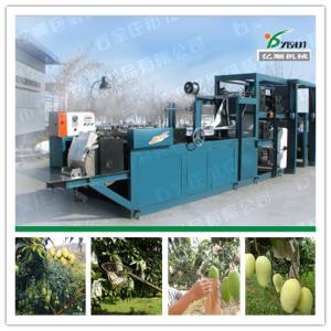 Quality Mango protection bag machine factory price wholesale