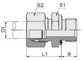 OEM 1cm-Wd 304 Stainless Steel Pipe Fitting Supplier NPT to Bsp Thread Adapter Pipe Adapter Hydraulic Fittings