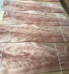 Okoume Crotch Veneer Okoume Crotch Wood Veneer for Furniture Doors Cabinetry &