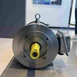 Water Proof Special Electric Motors Three Phase Induction Vertical Hollow Shaft