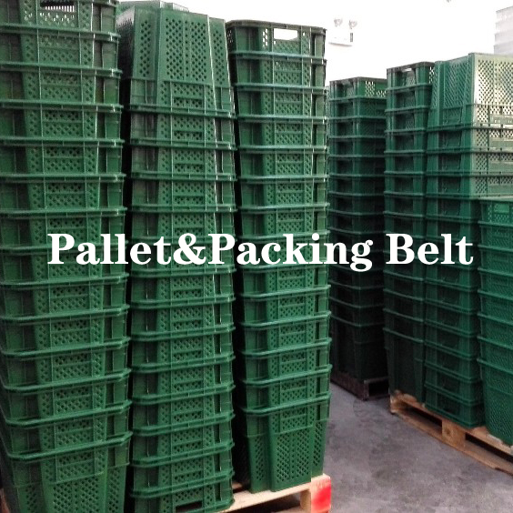 Plastic Apple Fruit Box Stack Nest Transport Crate for Heavy Duty Warehouse Solutions