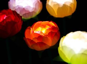 Quality LED Simulation Peony Lights Wedding Scene Layout Lighting Festival Commercial Beauty Display Bright Decoration wholesale