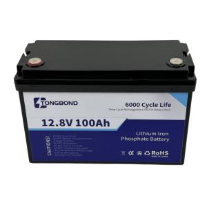 Quality 12V 100Ah LiFePO4 Lithium Battery Long Life 6000 Cycles For Energy Storage System wholesale