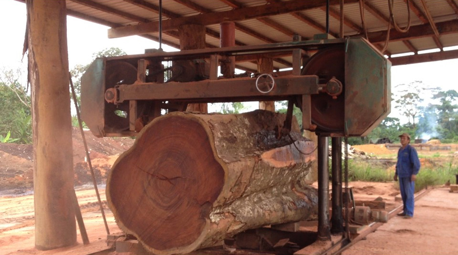 Big Wood Log Bandsaw Sawmill ,Automatic wood cutting Electric Saw Mill Machine