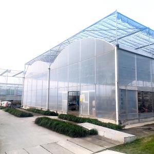 Quality Agriculture Plastic UV Film Poly Tunnel Multi-span Tomato Smart Greenhouse wholesale