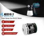 Paint Spray Gun Brushless DC Motor