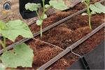 Hydroponic Plant Growth Planting Trough PP Roll Within 0.7mm Thickness