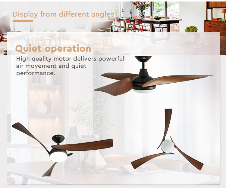 ceiling fan