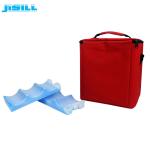 Food Grade Cooler Ice Blocks 6 Pack For Soda Beers And Cans FDA SGS Listed