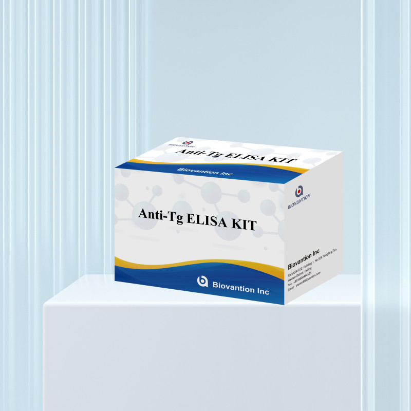 Elisa Diagnostic Kit For Human Antithyroglobulin Antibodies Anti-Tg For Hospital And Lab