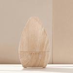 200ml Spray Mist Air Humidifier Portable Diffuser Humidifier