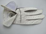 golf glove , golf gloves , glove , gloves