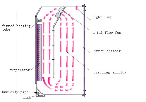 250L Humidified CO2 Incubator 304 Stainless Steel Inner Carbondioxide Incubator