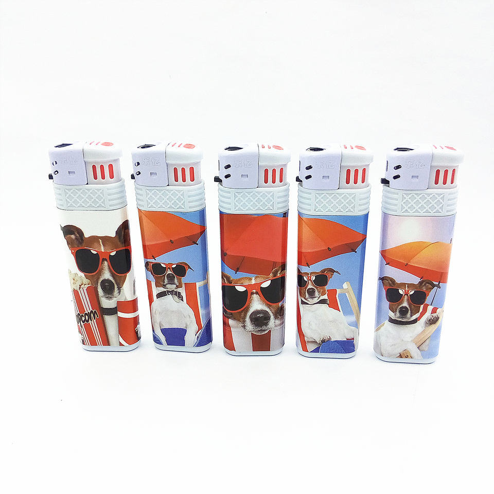 Dy-F016hot Selling Windproof Good Price Smoking Electric Lighter