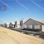 Custom Modern Steel Frame House , High Strength Metal Chicken House