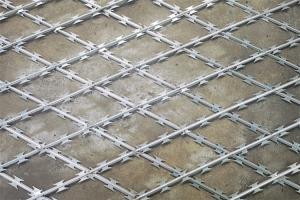 Quality Welded Razor Barbed Wire Fence With 25-35mm Barbs And 75X150mm Mesh wholesale