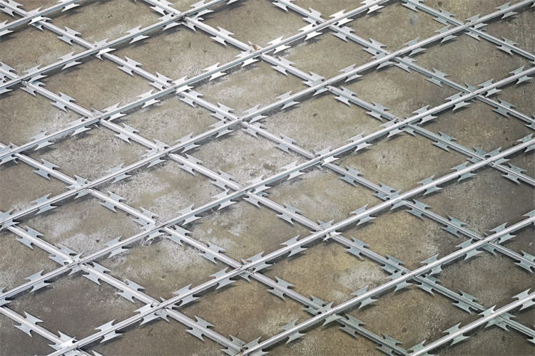 Hot Dip High Security Razor Barbed Wire Mesh Panel Fence Razor Wire Mesh Fence Form China Factory