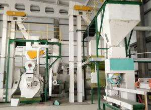 Quality 132kw Power Biomass Pellet Mill Machine Total Line Indonesia Acacia Wood wholesale