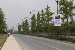 Quality Pole light box wholesale
